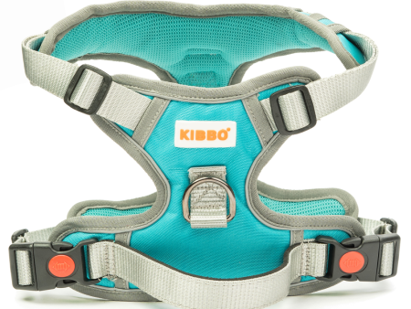 Kibbo Reflective Vest Harness with Dual Lock Buckle for Dogs (Sea Green) For Cheap