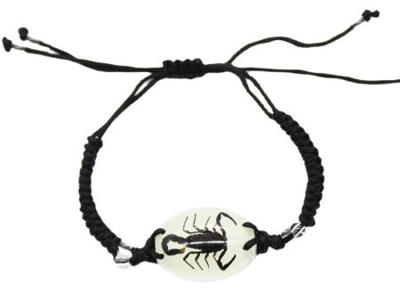 Wholesale 12PCS Luminous Insect Amber Braided Bracelet Online now