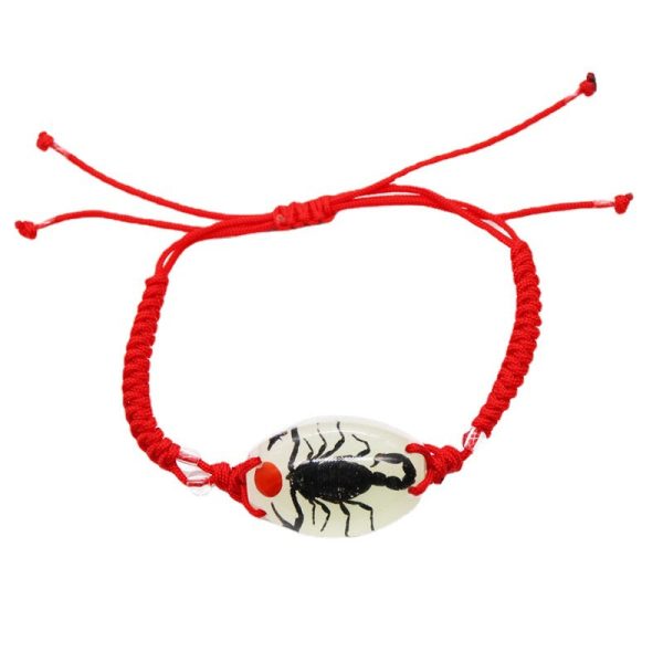 Wholesale 12PCS Luminous Insect Amber Braided Bracelet Online now