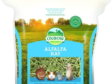 15% OFF: Oxbow Alfalfa Hay Fashion