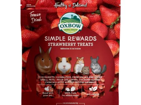 15% OFF: Oxbow Simple Rewards Strawberry Treats For Small Animals 15g Online